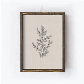 Vintage Print Framed | Floral Branch Print A107